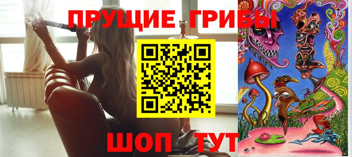 Красный Сулин  где купить наркоту  Псилоцибиновые грибы мицелий  Вход с VPN  Псилоцибиновые грибы Psilocybe 